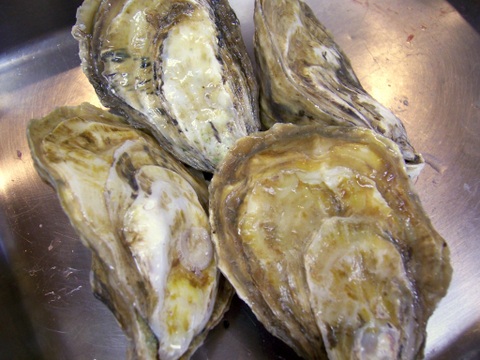 かれん 牡蠣 長崎