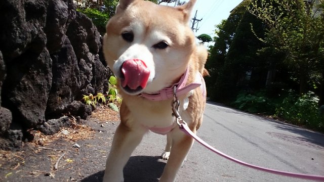 b0274270_11423061.jpg