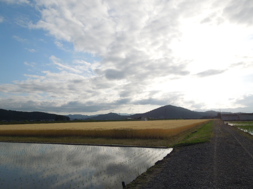 癒される風景 日だまりカフェ