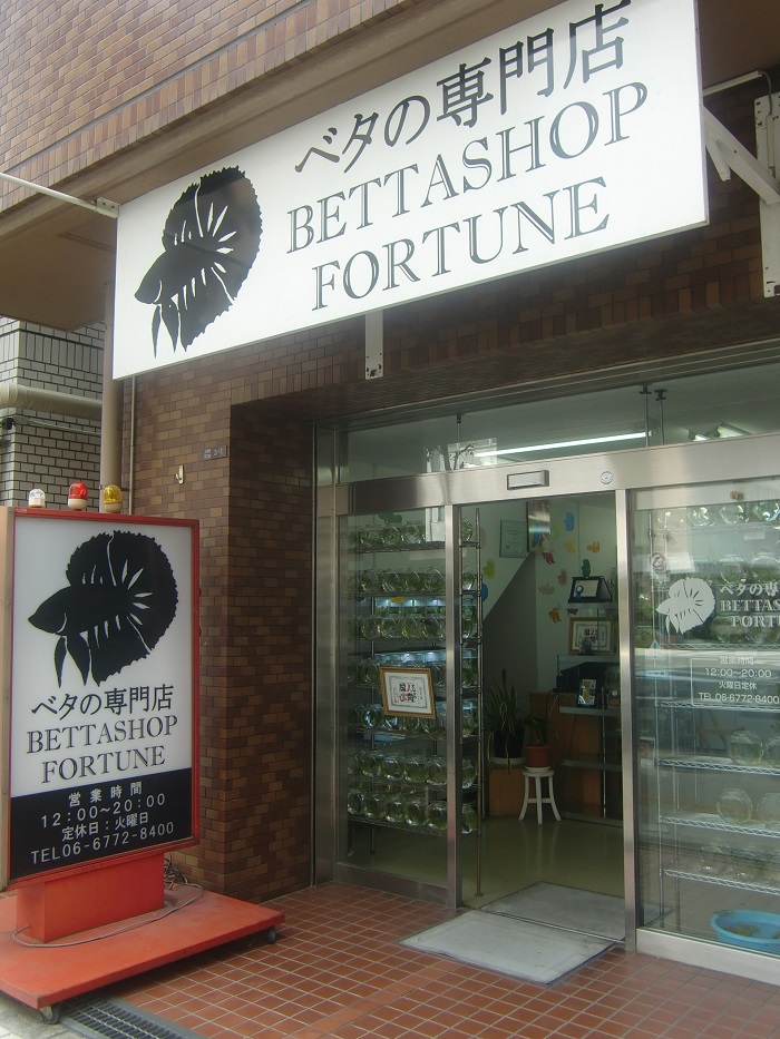 f0238779_81388.jpg