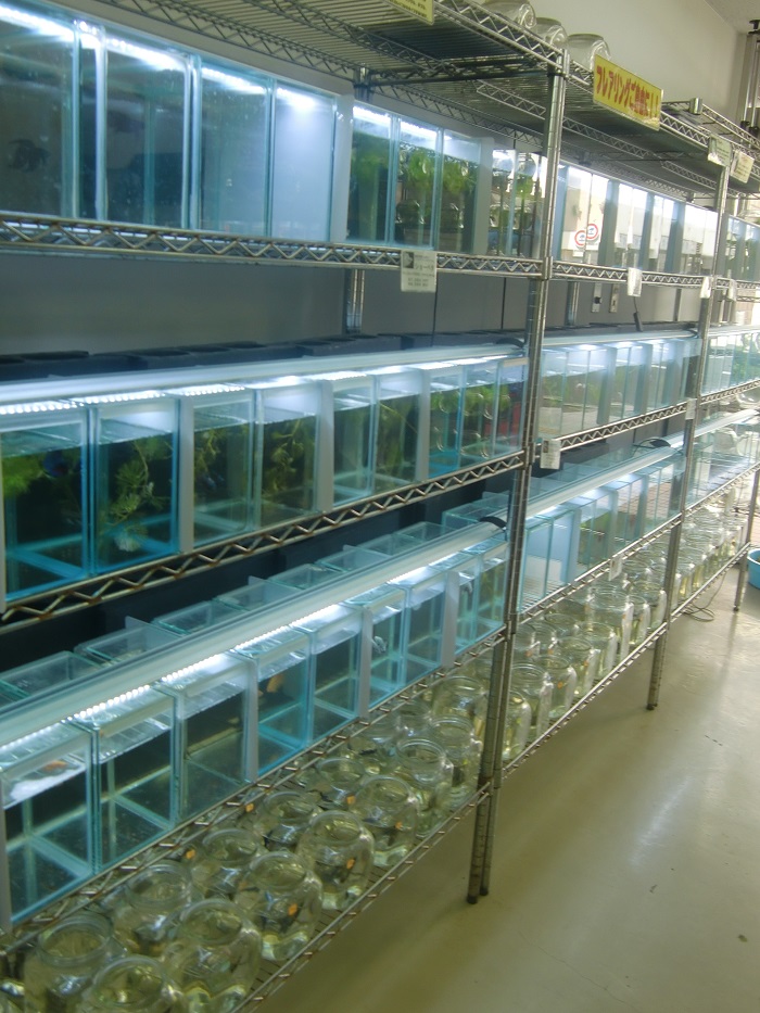 f0238779_82944.jpg