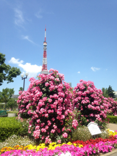 b0197480_15324282.jpg