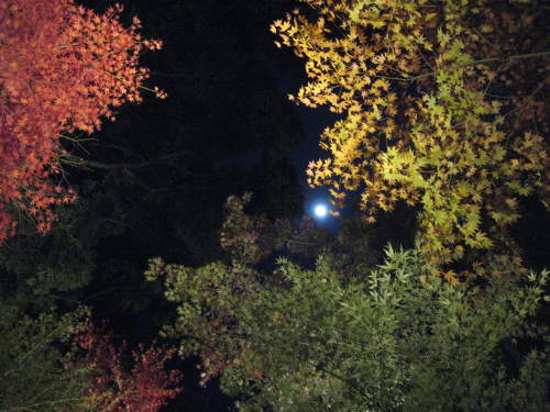 b0328186_15064507.jpg