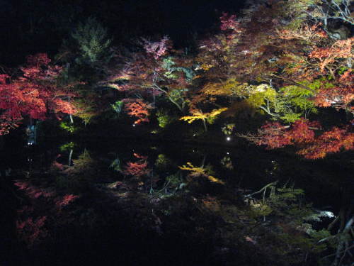b0328186_15072701.jpg