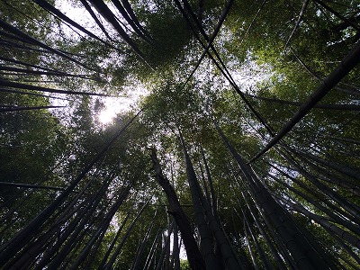 天気の良い土曜日の過ごし方_c0134386_2348714.jpg