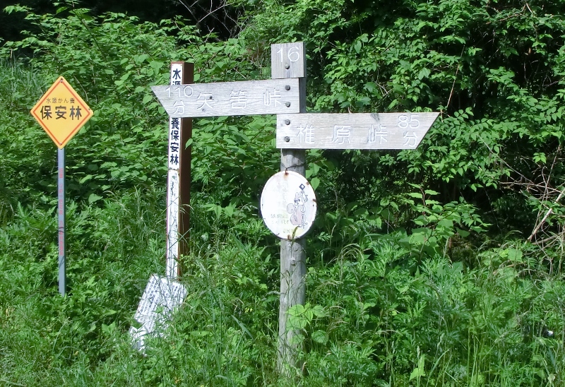 d0125589_12111081.jpg