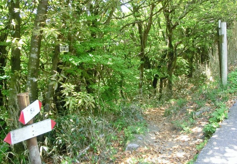 d0125589_12131965.jpg