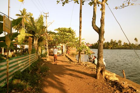 c0010791_22446.jpg