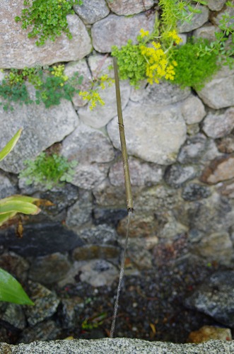 浜名湖花博2014_b0119493_11134363.jpg