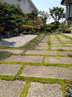 はい実家〜_a0134394_10462530.jpg