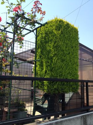 はい実家〜のつづき_a0134394_11561353.jpg