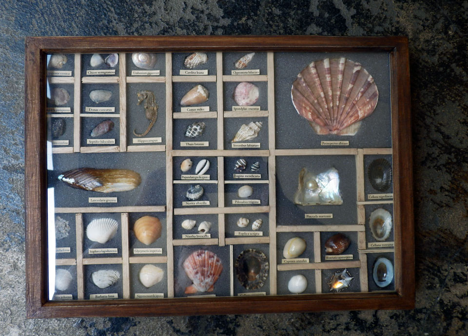 c0260295_19461159.jpg