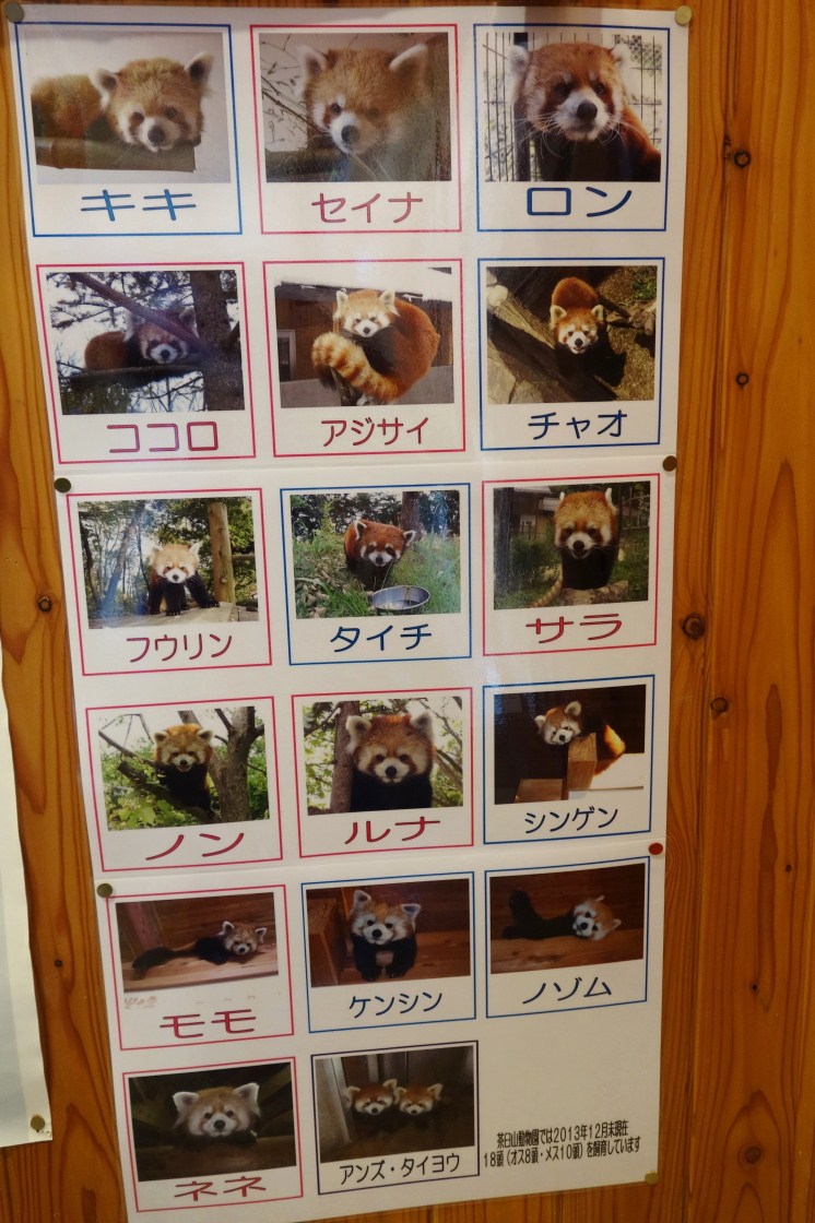 初訪問！茶臼山動物園_a0306502_22152856.jpg