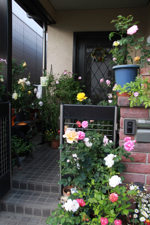 d0248502_1042149.jpg
