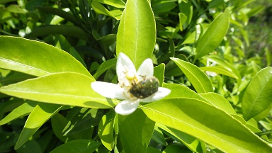 c0280206_954125.jpg