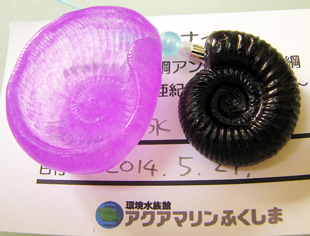 化石のレプリカづくり_f0292806_17543672.jpg