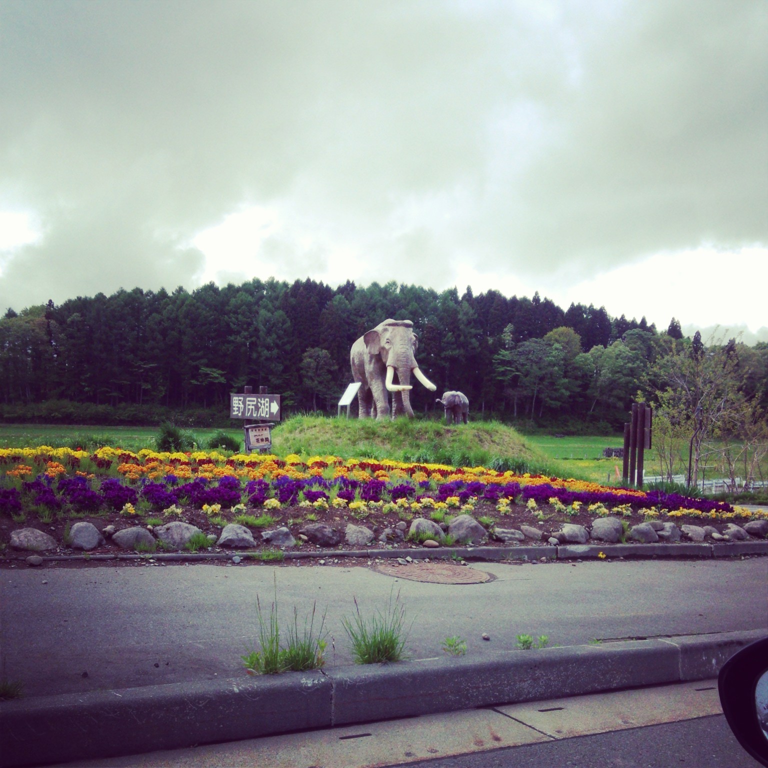 c0147709_1117575.jpg