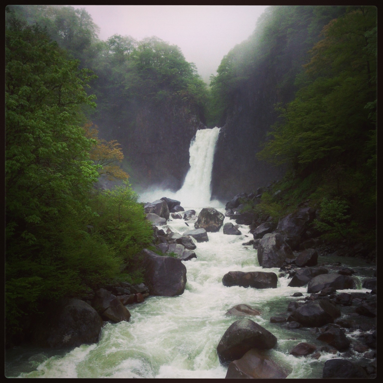 c0147709_11175764.jpg