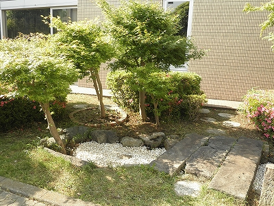 d0241210_194404.jpg