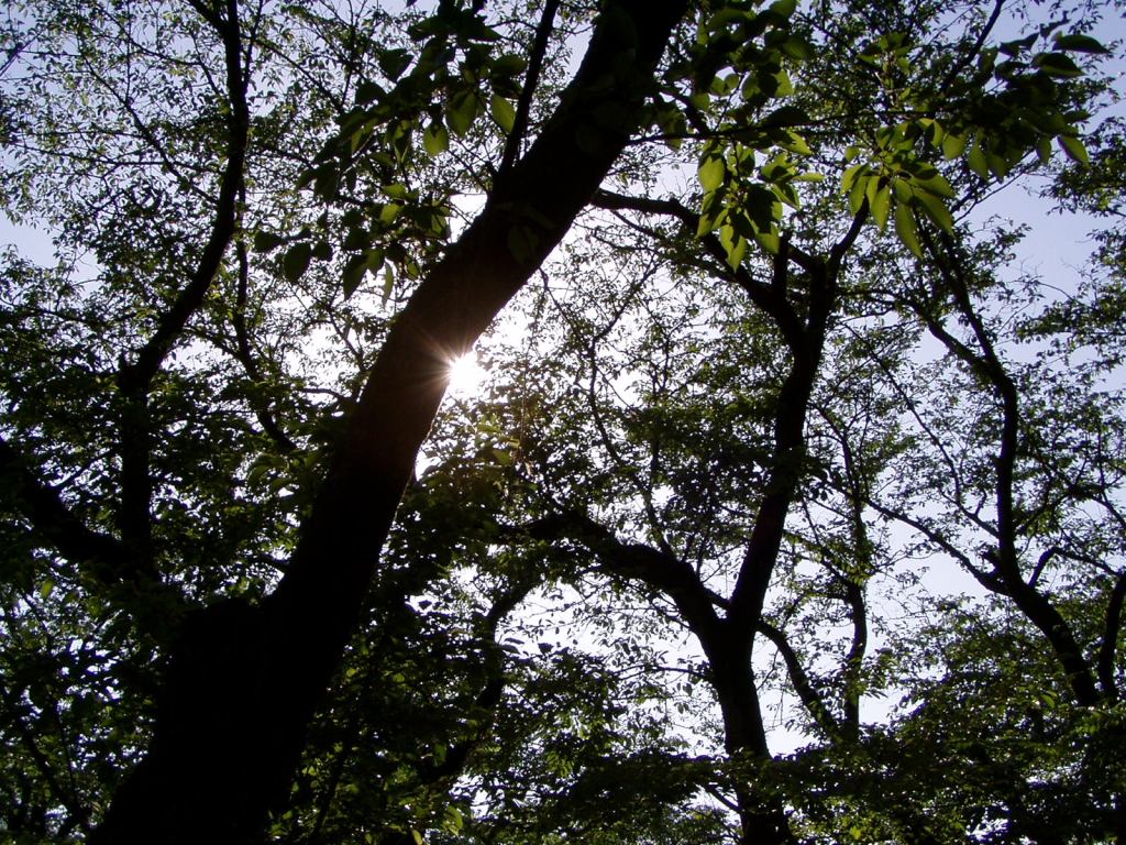 f0324510_15081944.jpg