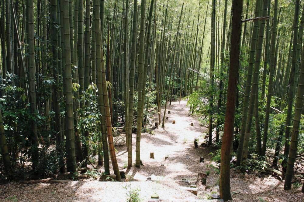 f0212511_985512.jpg
