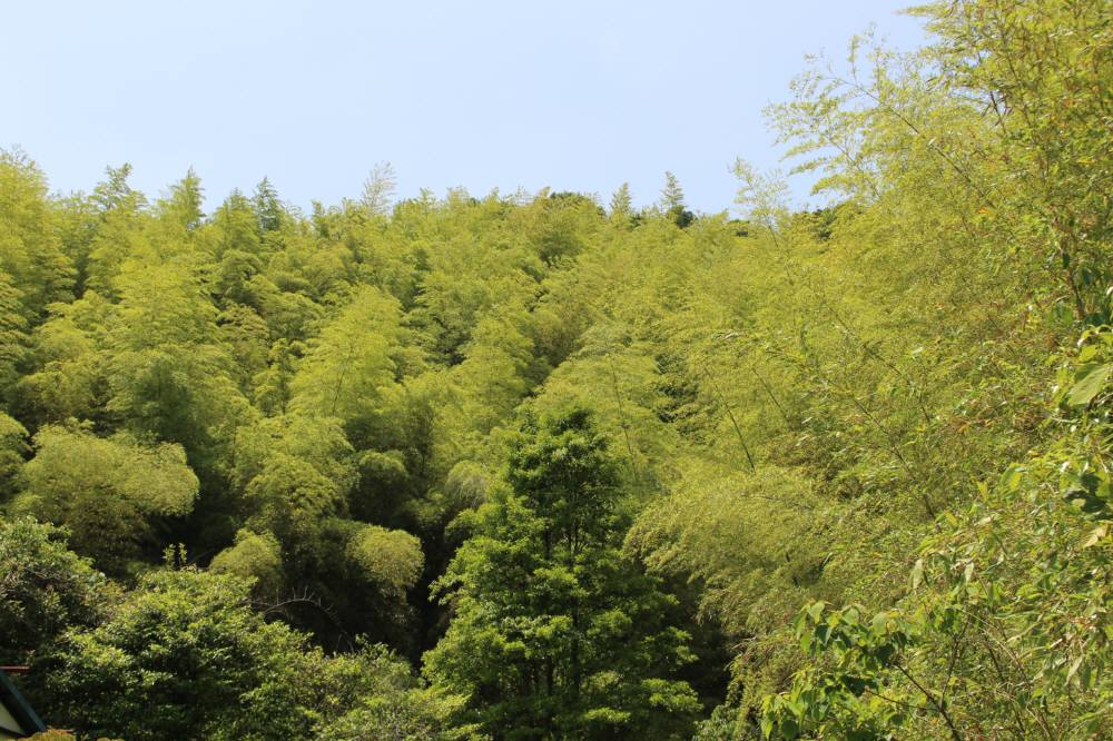 f0212511_9907.jpg