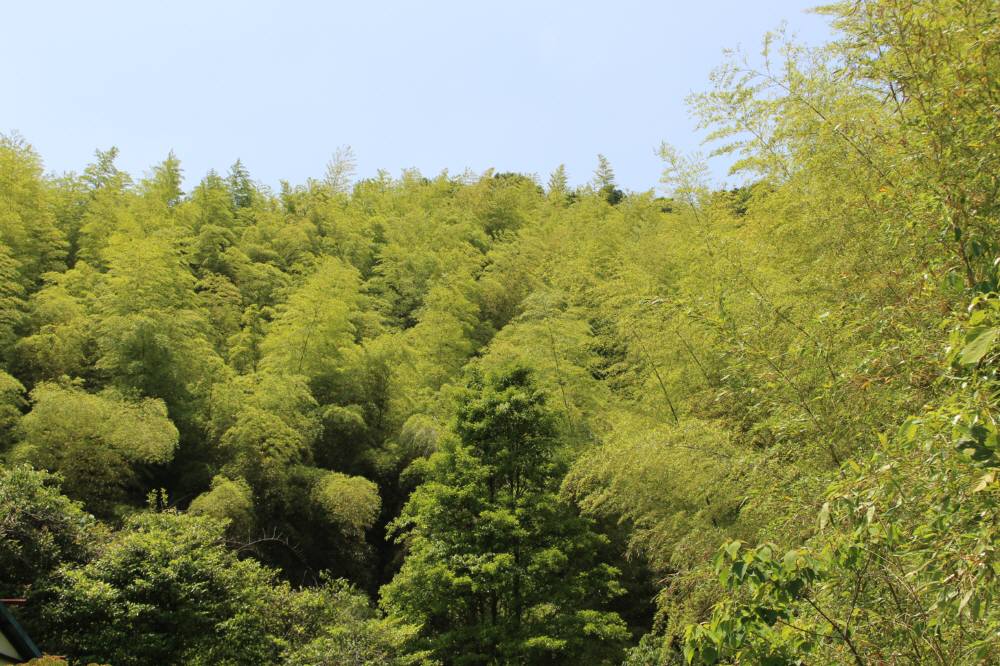 基山～天拝山の縦走_f0212511_9907.jpg