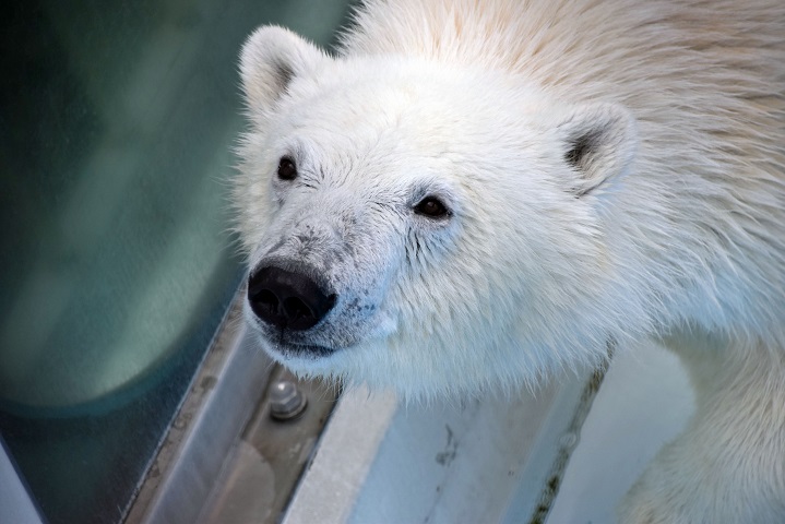 a0151913_2323089.jpg