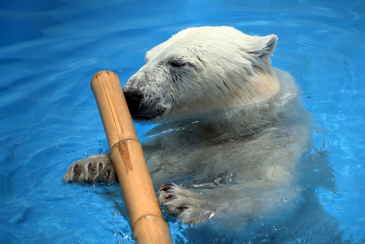 a0151913_23235747.jpg