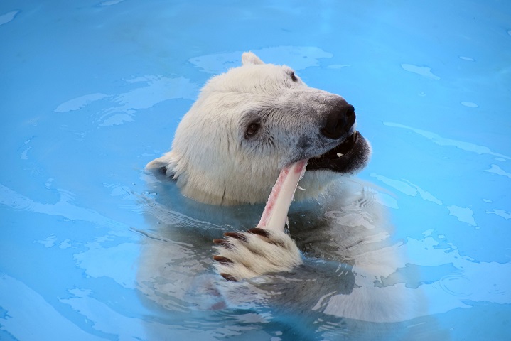 a0151913_2324169.jpg