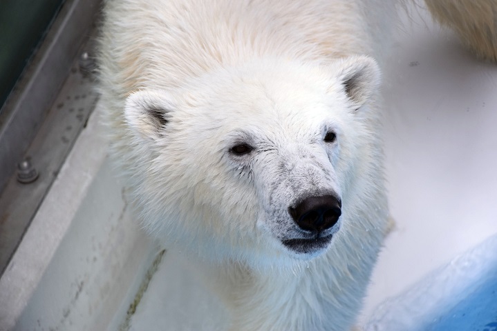 a0151913_23251142.jpg