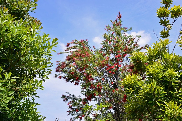 a0151913_23253066.jpg