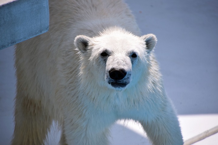 a0151913_2325842.jpg