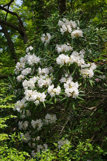 f0097913_17141378.jpg