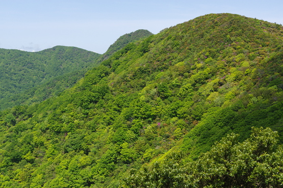 f0097913_1763576.jpg