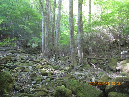 f0193521_2159572.jpg