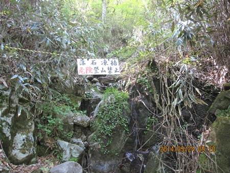f0193521_22154476.jpg