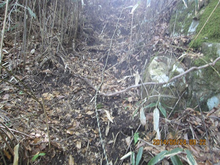 f0193521_22232277.jpg