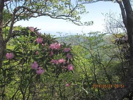 f0193521_22284473.jpg