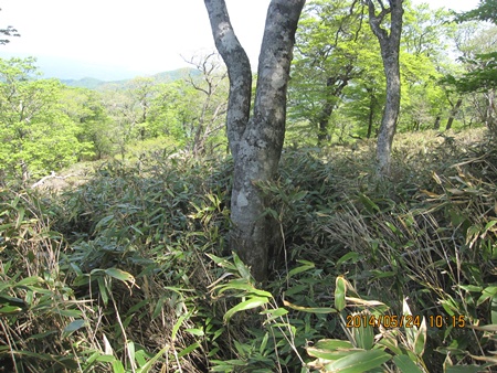 f0193521_2310255.jpg