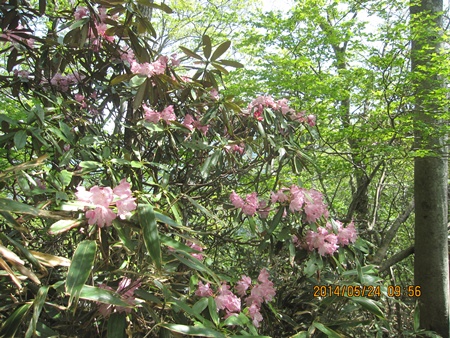 f0193521_2392181.jpg