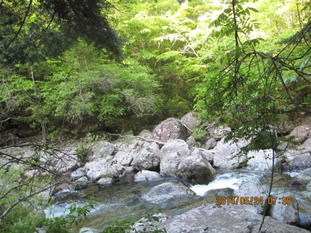 f0193521_7482675.jpg