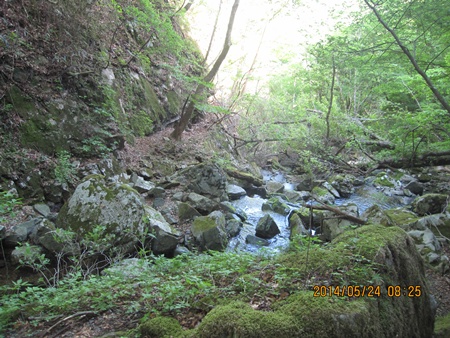 f0193521_7503342.jpg