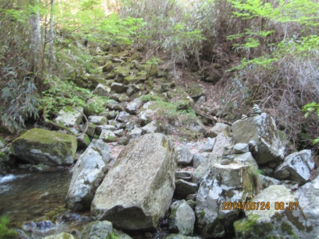 f0193521_751497.jpg