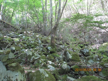 f0193521_75511.jpg