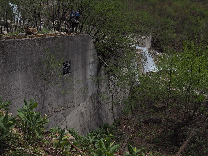 20140524 北アルプスの散歩道：オレンジ（クモマツマキチョウ）が飛ぶ峪_d0090322_18185819.jpg