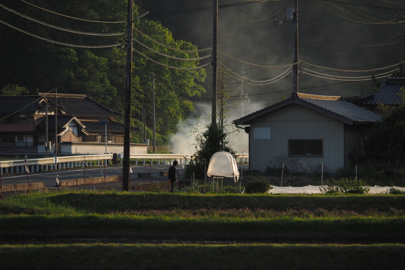 田舎の風景_e0329526_20541995.jpg