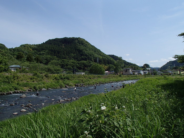 d0172227_87829.jpg
