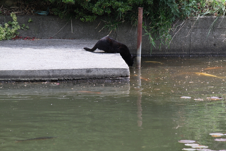 福島県本宮市　「蛇の鼻遊楽園」_d0106628_07545298.jpg