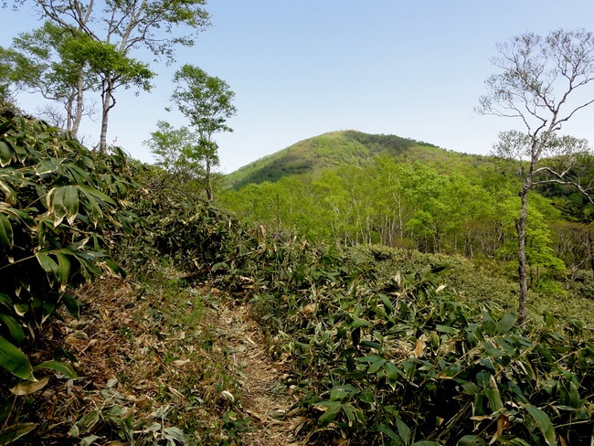 d0235336_22261626.jpg